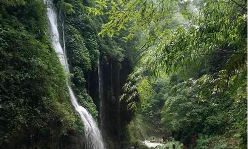 重庆黑山谷旅游攻略_重庆黑山谷景区门票