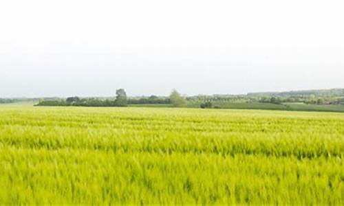 息县天气预报息县天气_息县天气预报息县