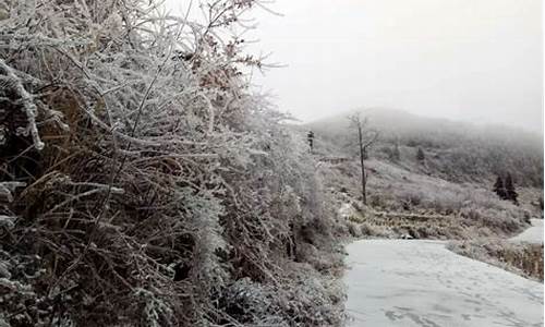 湖南近期会下雪吗_湖南现在哪些地方下雪了