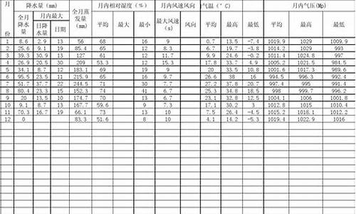 气象资料台账表格图片_气象资料台账表