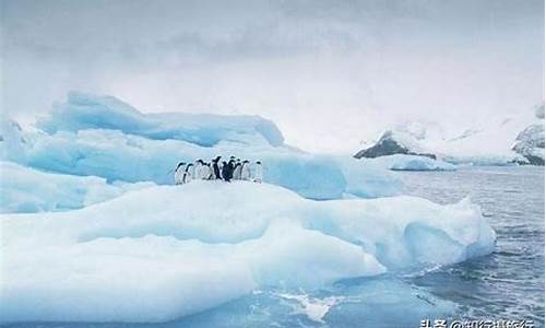 南极天气预报_南极天气预报15天查询结果